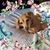 Gavi Gavi's profile image