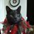Susan Garland's profile image
