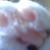 Ellen Miyo Ino's profile image