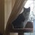 Jeanne Wright's profile image