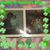 Wednesdi Clapp's profile image