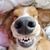 Kevyn Moody's profile image