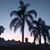 Tonya Rauscher-Rausch's profile image