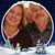 Bobbie Wilkin Evans's profile image