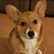 Becky Borton's profile image