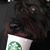 Amy Archbold Miller's profile image