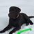 Terry Merritts's profile image