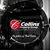 Kathline Collins's profile image