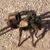 Raye Johnston's profile image