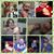 Meahgan Voegtlin's profile image