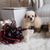 Cheryl Erwin's profile image