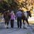 Denise Overberg-Thomas's profile image