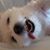 Michelle D Standfuss's profile image