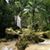 Arlette Dominguez's profile image