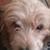 Elaine Laity's profile image