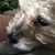 LeAnn Wind Daniels's profile image