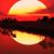 Julie Podmokly's profile image