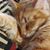 Lisa Christian Robards's profile image