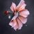 Ana Patricia Altamirano-Miller's profile image