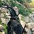 Judy Magnuson's profile image