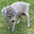 Pat Hinson's profile image