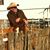 Jim Sims's profile image