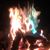 Lisa White Baranishyn's profile image