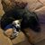 Maria Acosta's profile image