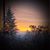 Debra Holbrook's profile image