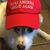 Alanna Melcher's profile image