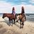 Kari Leitze's profile image