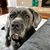 Crystal Murphy Adkins's profile image