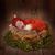 Charlene Gifford's profile image