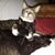 Darla Doolittle's profile image