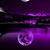 Tracy Eckman's profile image