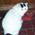 Lynda Williams Tucker's profile image