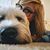 Clara Rose Crocker's profile image