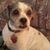 Katy Schultz's profile image