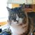 Wendy Kosel Burger's profile image