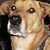 Eileen Donovan Blaquiere's profile image