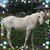 Cindy Rissal's profile image