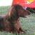 Katie Wehner's profile image