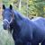 Kathy Brenner's profile image