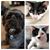 Michelle Deaton Wolcott's profile image