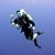 Rich Davalos's profile image