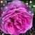 Katie Kusske's profile image