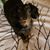 Debbie Woodward's profile image