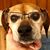 Mark Thoms's profile image