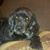 Kent Rackley's profile image
