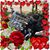 Jaennette Russell's profile image